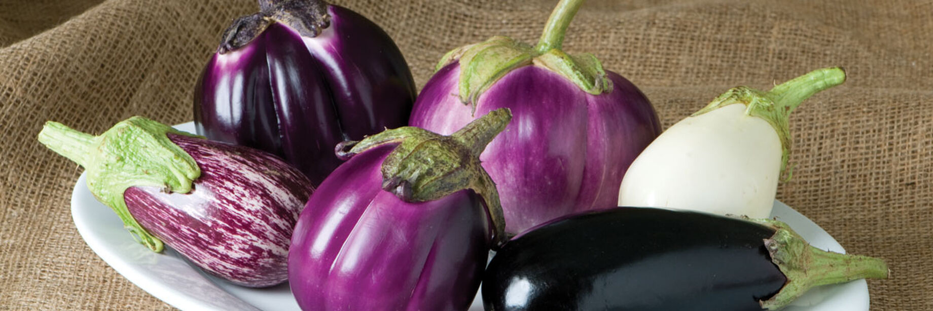 Eggplants are beautiful fruits, aren't they?