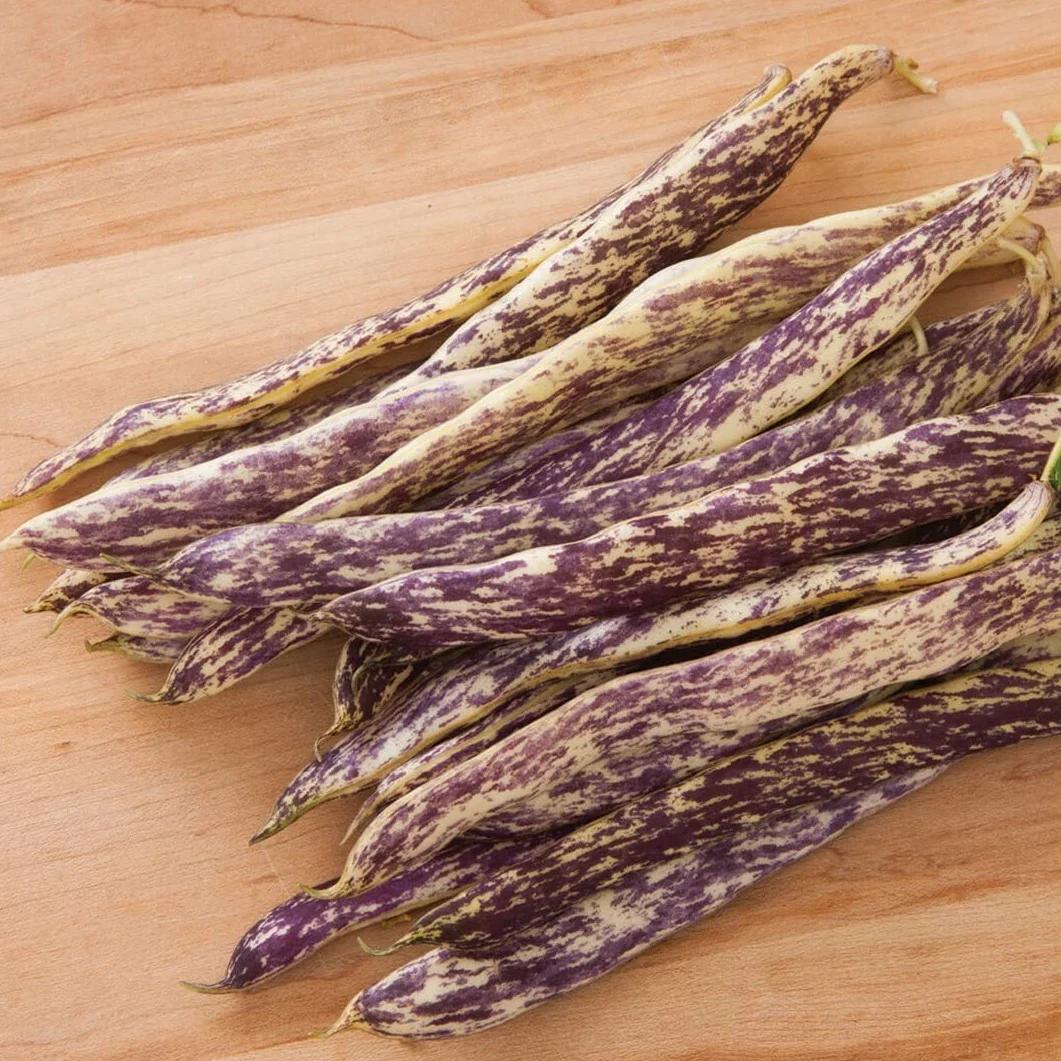 Grow bush beans like the pretty Dragon's Tongue.
