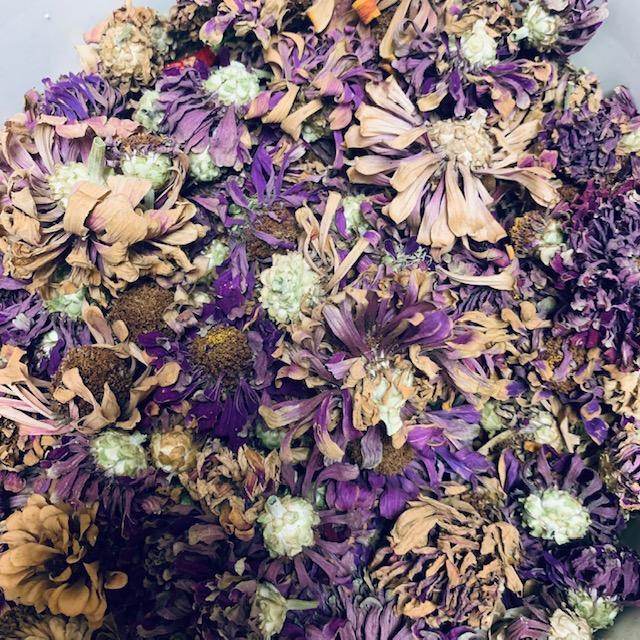 Our dried zinnias have been collected and cleaned by us to make a mix of seeds for you.