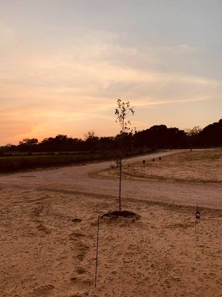New driveway. Note torn up spot by dumpster on left. Mail truck got caught and tore it up right after construction crew left. I went out and filled in hole.
