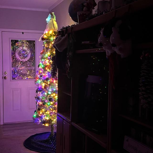 I enjoyed the light of the tree while reading some fun Christmas stories from the early 20th century. That seems so long ago now.