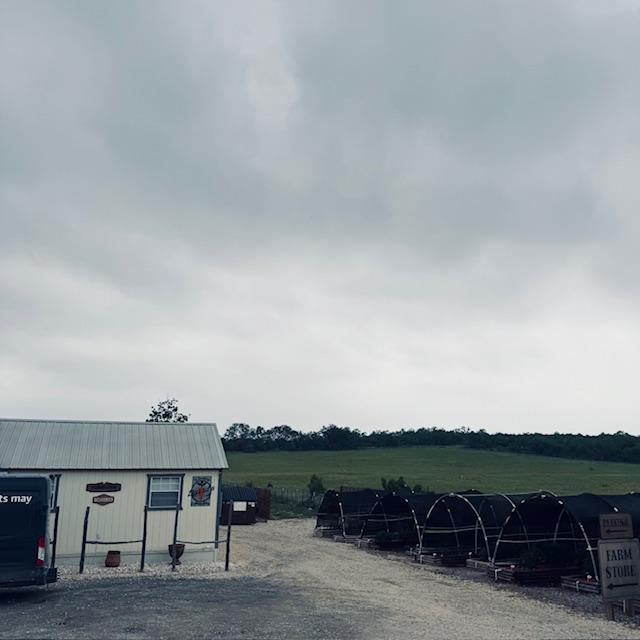 About 30 minutes before the eclipse time.