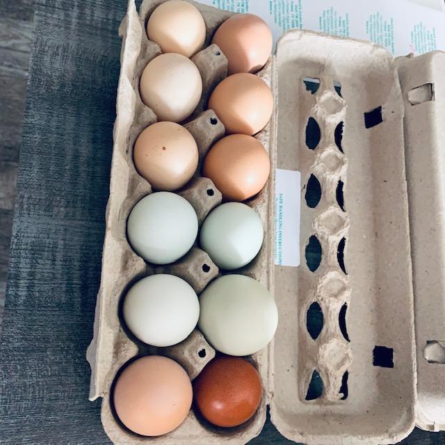 Some of the pretty eggs our girls lay for your culinary experience.
