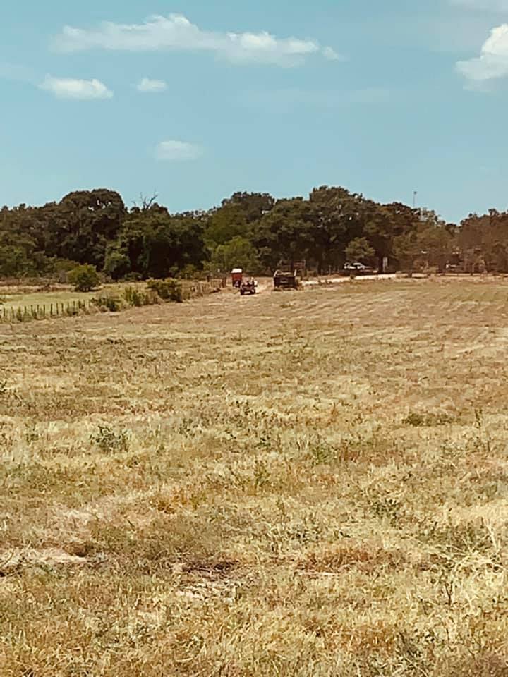 This is the empty David's Garden Seeds® Farm looking to our gate on FM 2504 and our dumpster, outhouse, and mower.