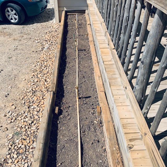 Our fourth year started with empty flower beds in front of the Farm Store. We pulled up the dying zinnias due to extreme heat. In just a few weeks, we will be planting cool weather flower seeds.