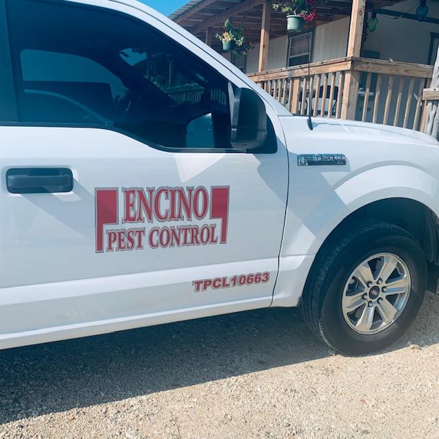 If you need a good pest control company in San Antonio, call Encino Pest Control. Marc is awesome!