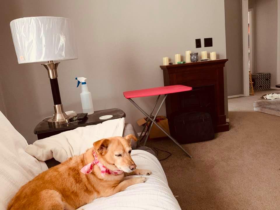 Ethel is relaxing after her makeover. Isn't she so cute?