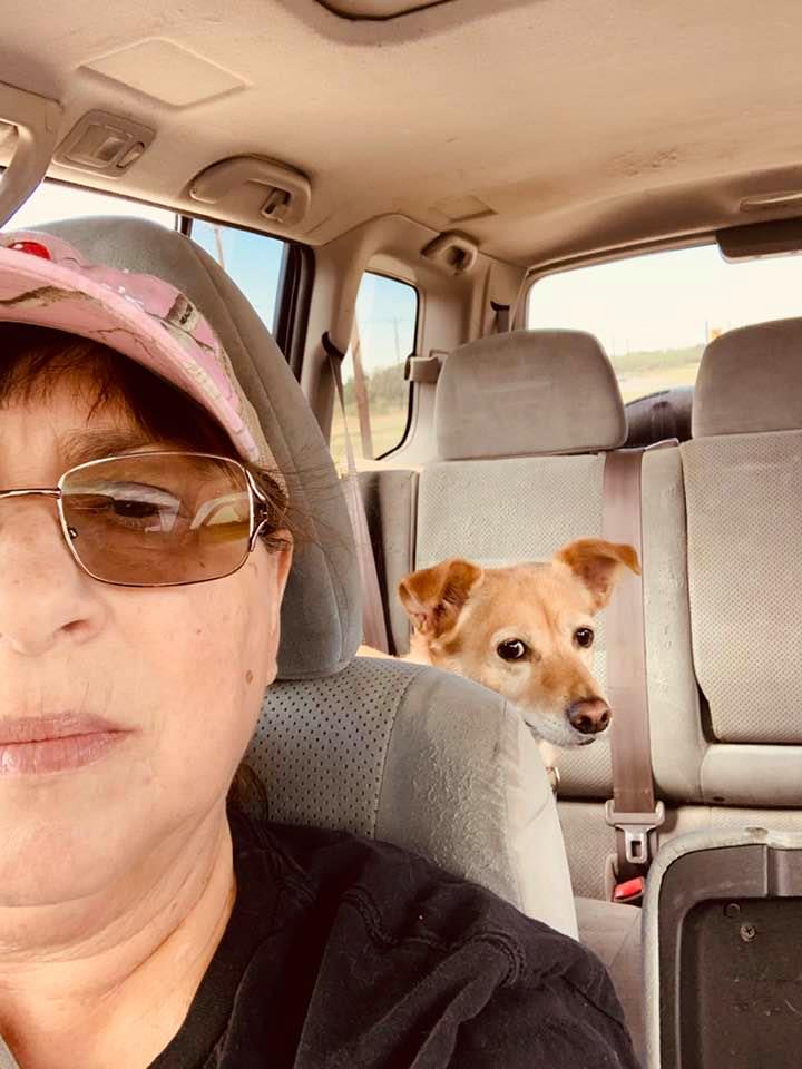 Ethel with Mrs. David's Garden Seeds® in the car to go to the new vet.