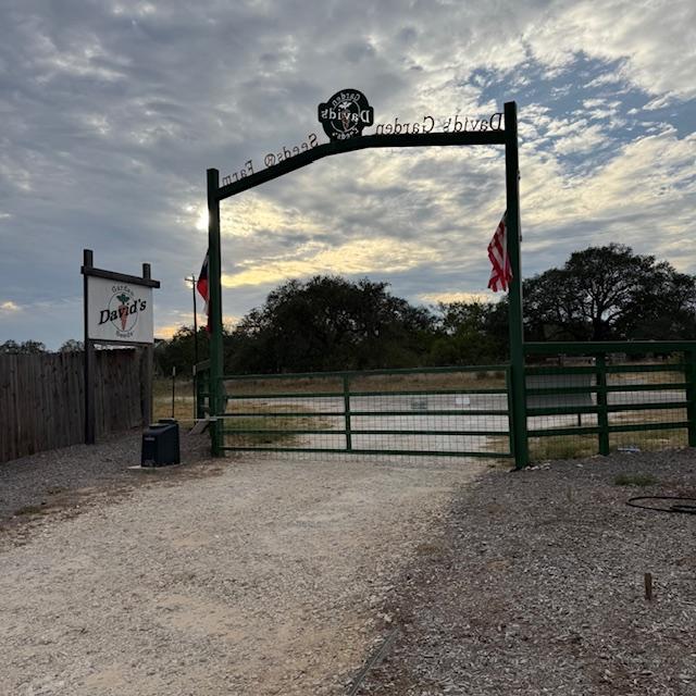 It's evening once again here at David's Garden Seeds®.