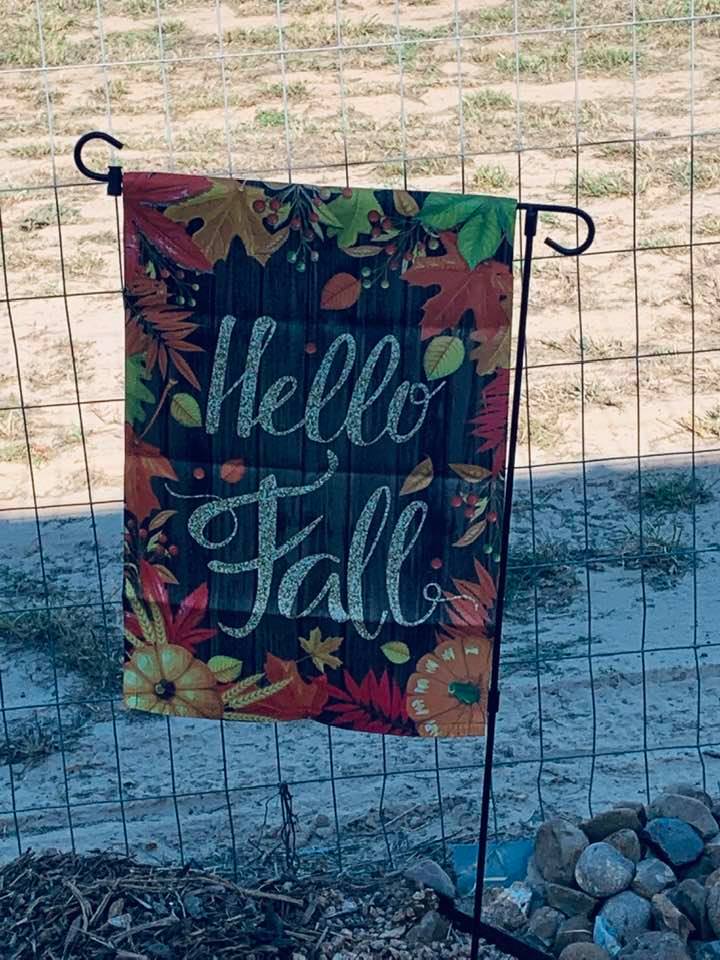 It's finally fall, y'all, even though it still feels like summer. Fall crops should be in the ground...
