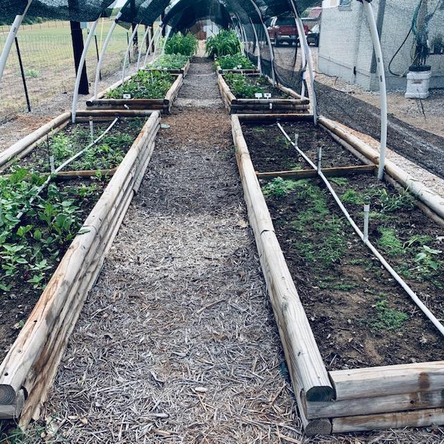 Here is a bit of our fall garden by the Farm Store.