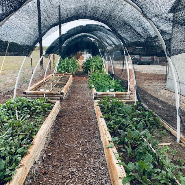 fallgardeninhoophouses