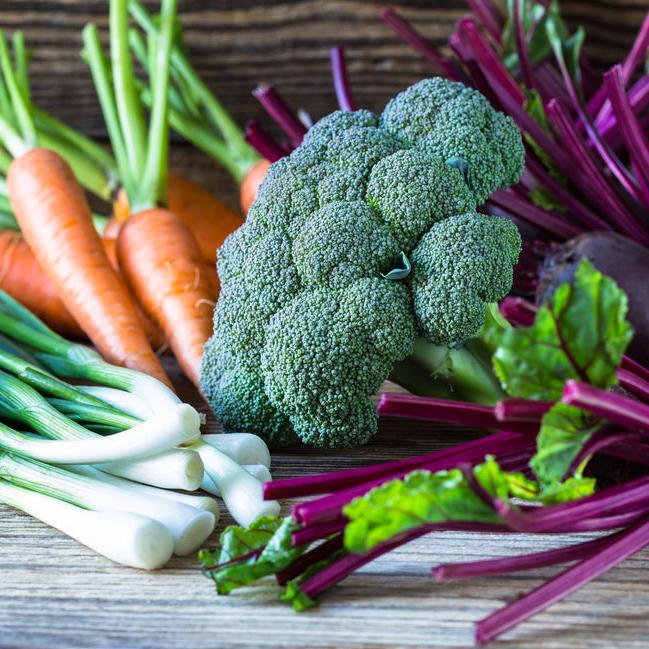 It's time to plant your fall garden!