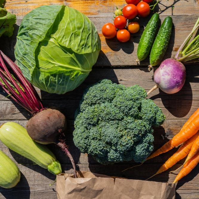 Our New Smaller Fall Seed Set