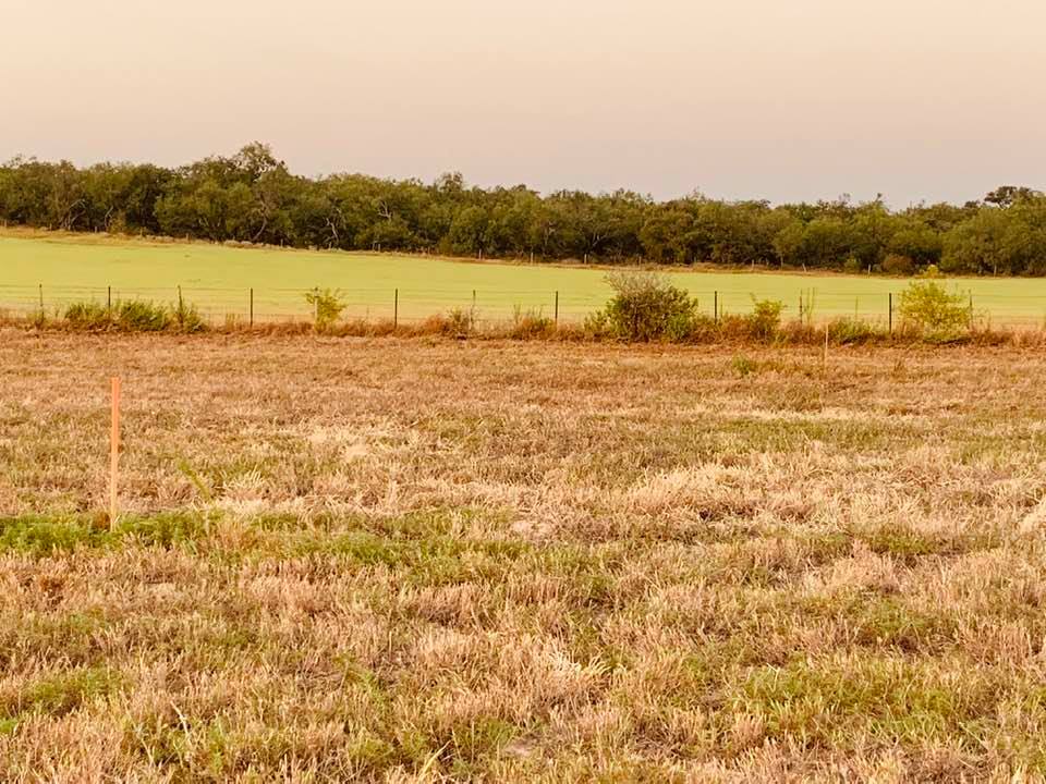A side shot showing the pretty hay meadow to the right.