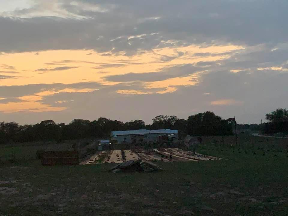 Our beautiful farm at dusk from up on the hill. It has grown so much in just 21 months, from nothing but weeds to a business, farm, and home. Our beautiful farm at dusk from up on the hill. It has grown so much in just 21 months, from nothing but weeds to a business, farm, and home.