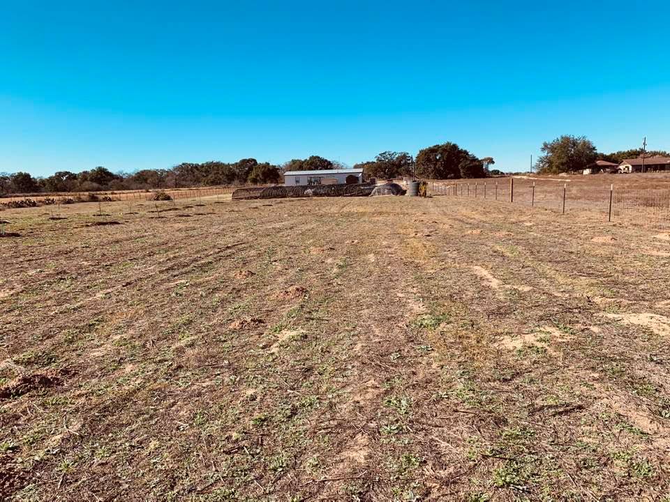 This is the way our happy farm looks from the top of hill, the back of the property.