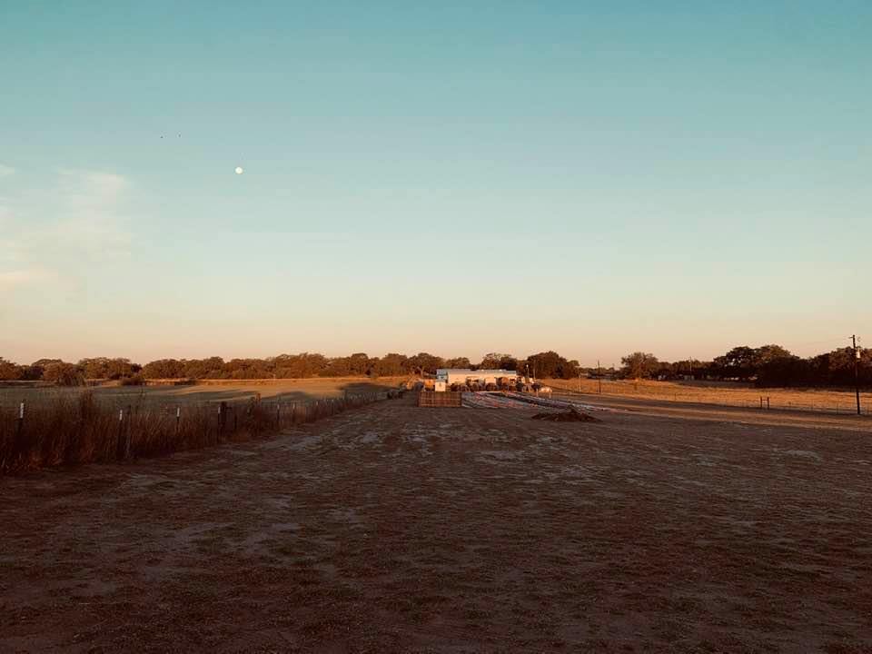 From the top of the hill, you can barely see our backyard garden design. You really get a new point of view. Our farm is so tiny from this vantage point.