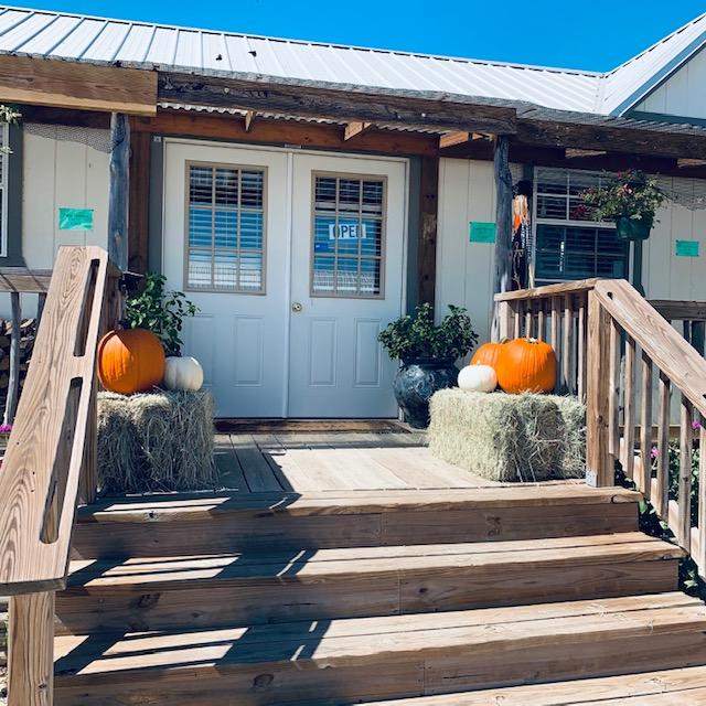 Hay and pumpkins should make the store look good through Thanksgiving!