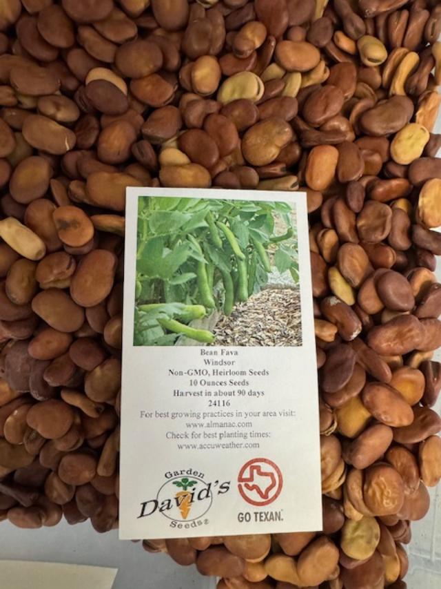 Currently, we sell just one variety of fava bean-the Windsor. We used to sell the Vroma as well but they were dropped a few years ago.