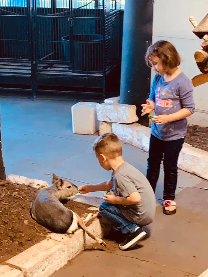 Max and Holley got to feed cavies at the aquarium.