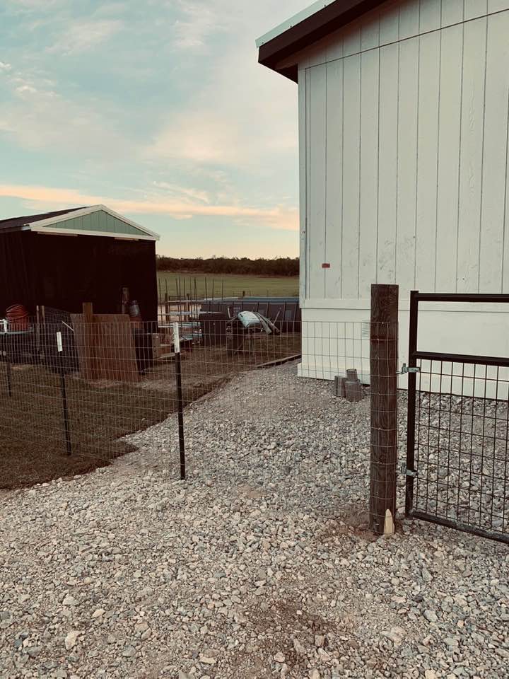 Here is the new fence with the shed where we lived on the left, covered in shade cloth to keep it a bit cooler. It got insulation today.
