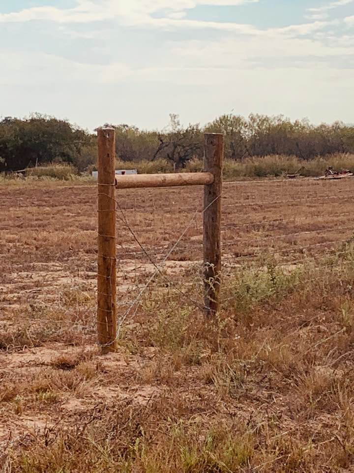 The new fencing starts at the top of the hill and ends with the H brace for now.
