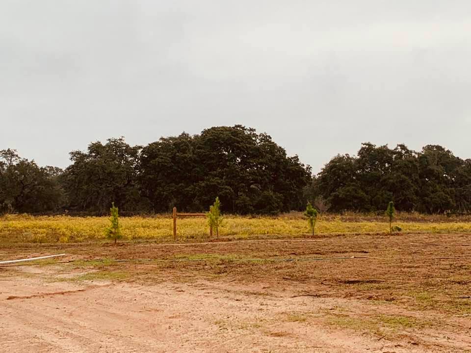 The fence line between our property and our next door neighbor is about halfway finished.