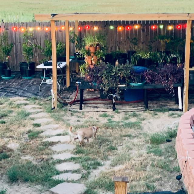 The 8 foot wooden fence keeps the deer out because they won't jump over if they can't see what is on the other side. The deer have not bothered our garden or orchard in 4 years.