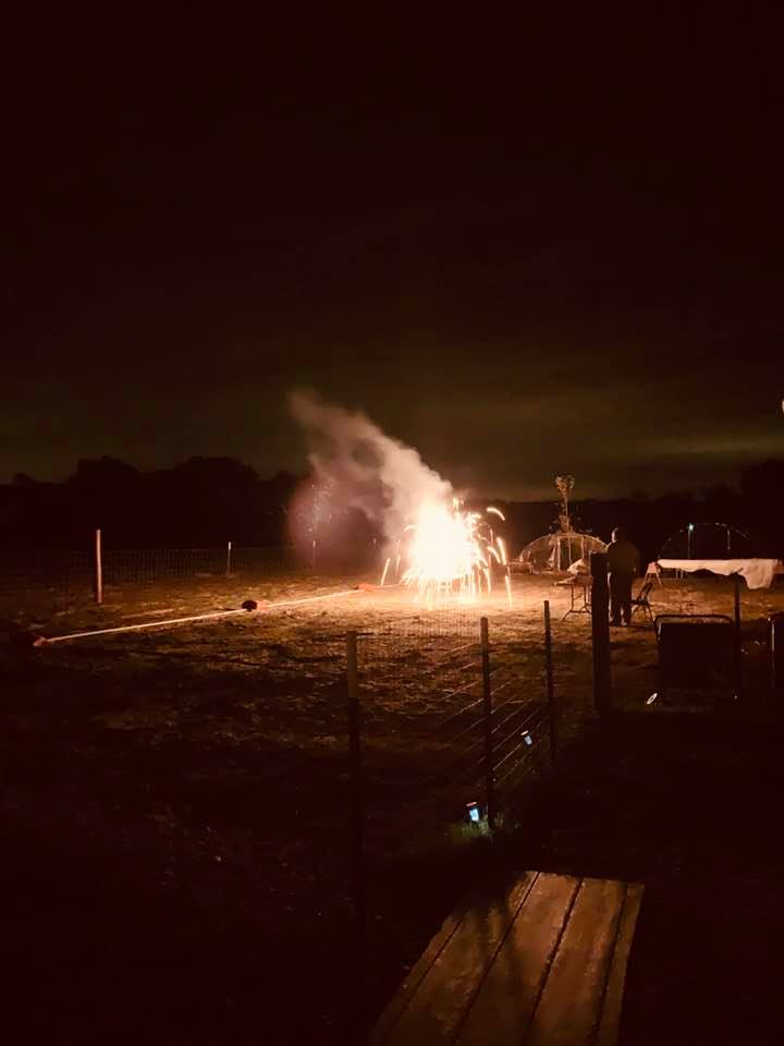 Here are some more fireworks. David set off a ton of them. Some were beautiful colors.