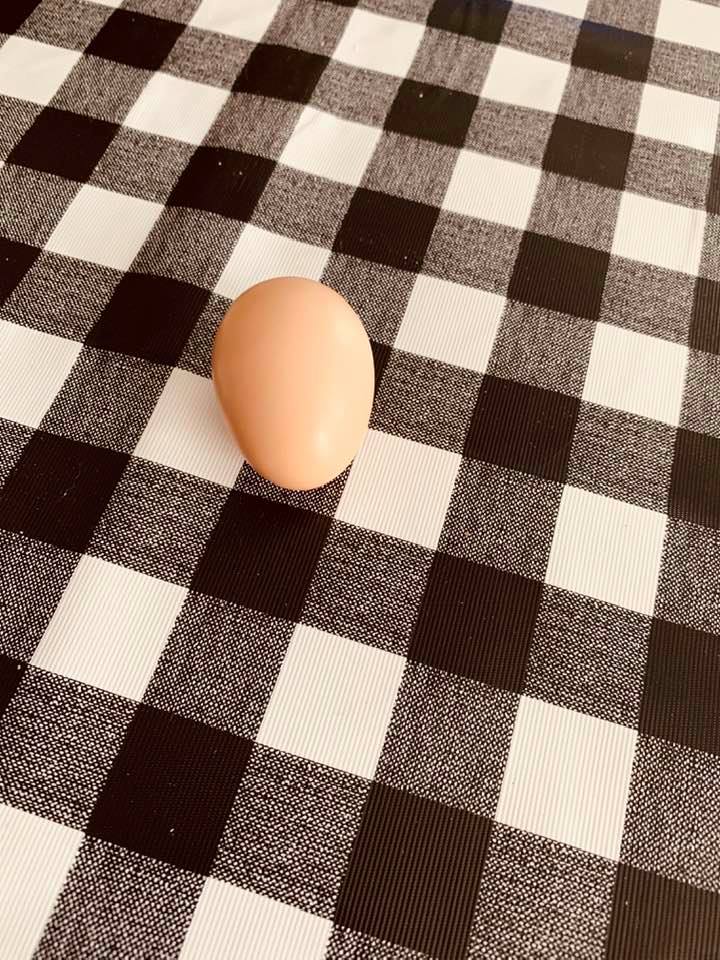 Our first egg from our chickens! It is so small!