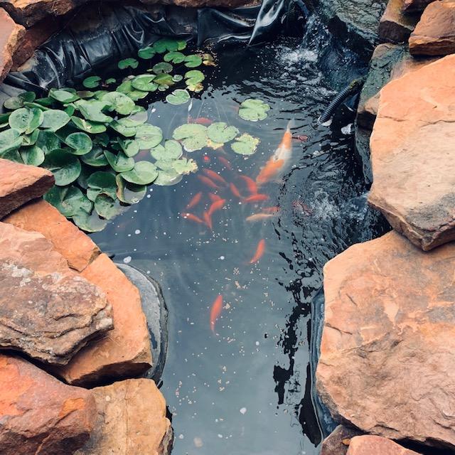 Some of the fish are ready to eat.