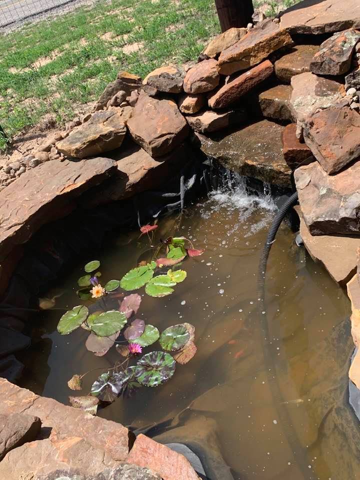 This photo shows how dirty the algae can make the water.