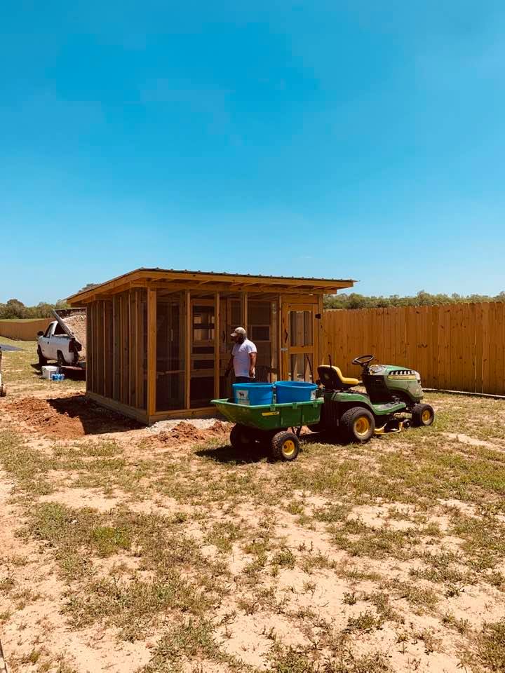 Nacho and Rigo built the chicken coop and put some finishing touches on it last week. I am so glad our chicks finally made the move.