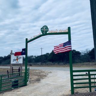 The red, white, and blue flies today at David's Garden Seeds® in memory and honor of all those who served and lost their lives while protecting our freedoms.