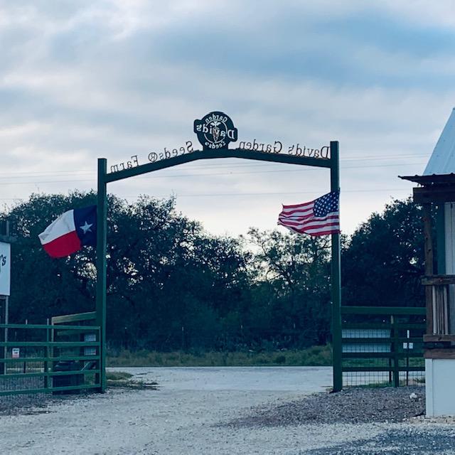 Merry Christmas. We have a wind chill that started yesterday afternoon and is lasting until noon tomorrow. Look at those flags fly!