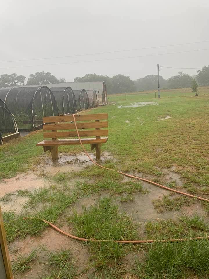 Much of the back forty is under water again this week as it keeps raining. I know a hurricane hit Florida earlier in the week. At least we are not having human resources issues this week.
