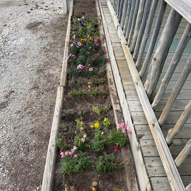 The flowers in the store flower garden still look great.