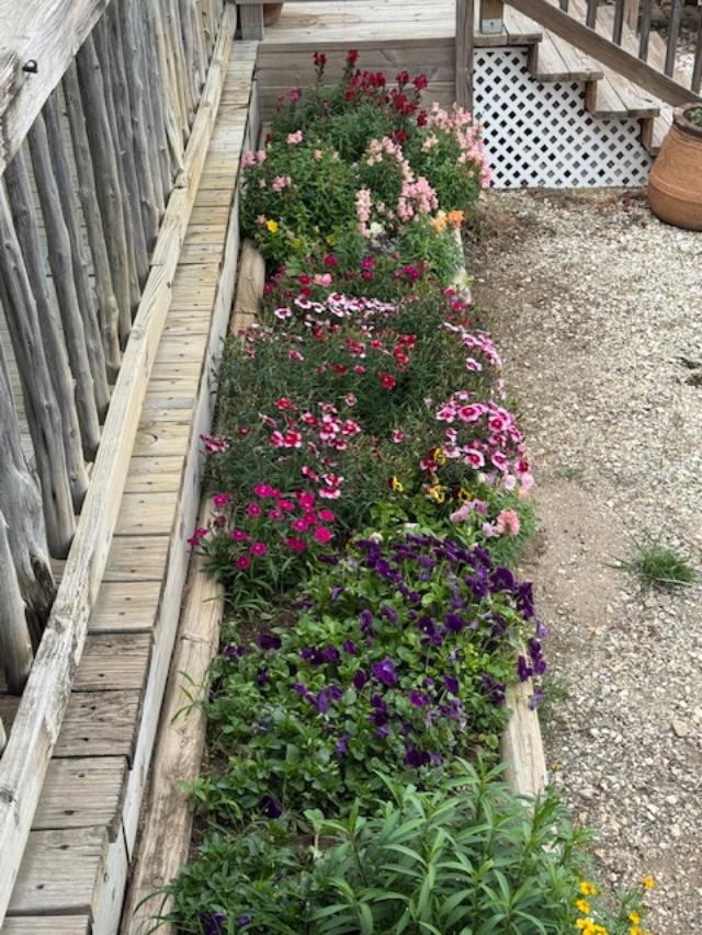 My flowerbeds are looking good.