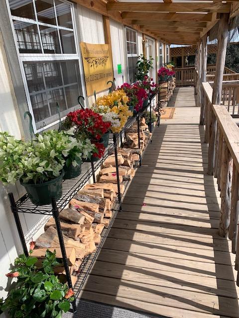 One moment the plants were here, the next, they were down in the parking lot so the cars could run over them. I had to go out and bring them back out, choosing what colors go where for Nacho.
