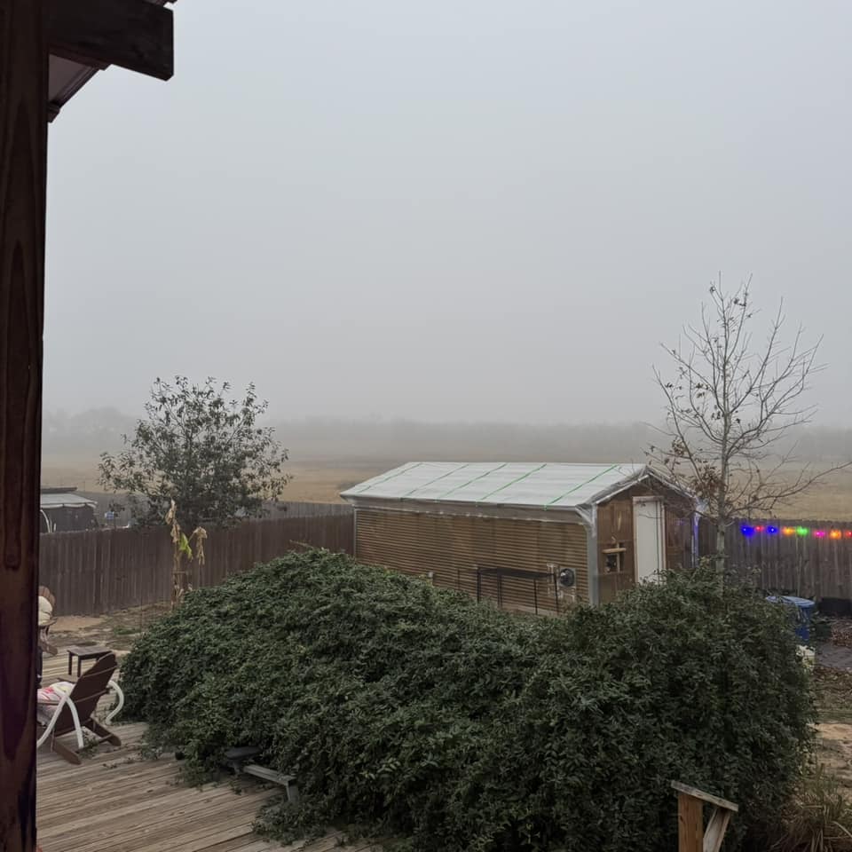 The fog is moving in quickly and you can barely see the trees in the background.