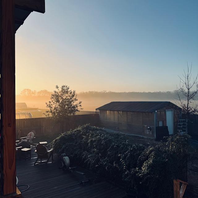 It is a bit foggy today and cold.