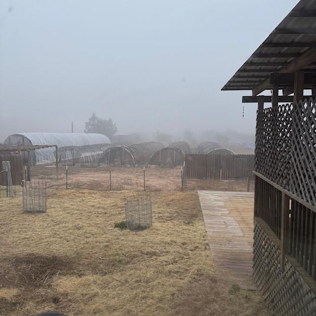 The fog is getting thicker this morning.