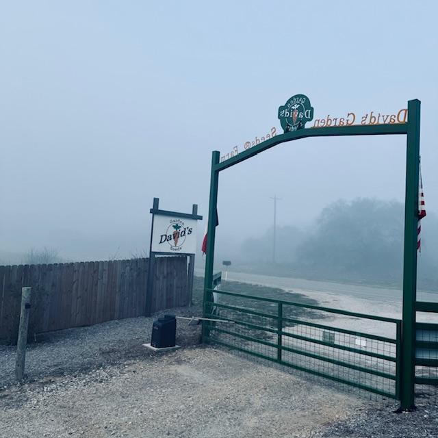 It was pretty foggy again this morning.