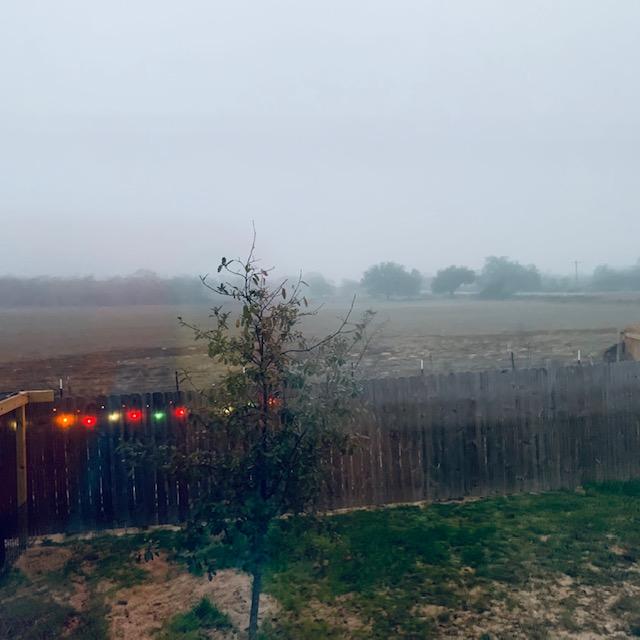 Another foggy morning on the farm. This is looking out the side window near my planting area and greenhouse. The lights are still on as it is before 7am. Another foggy morning on the farm. This is looking out the side window near my planting area and greenhouse. The lights are still on as it is before 7am.