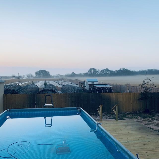 This was taken from my back deck. The new pool is looking so good and the fog looks so cool way back there.