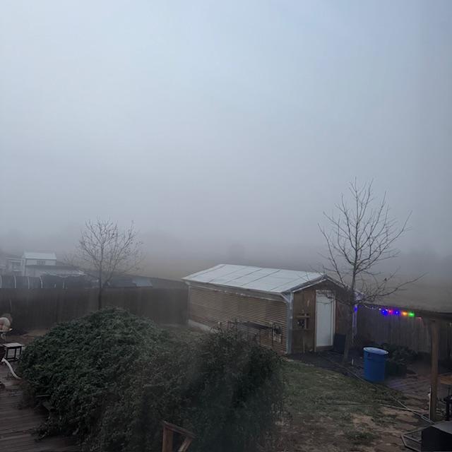 The fog is thick this morning and it is 42°, a bit warmer but still cold...