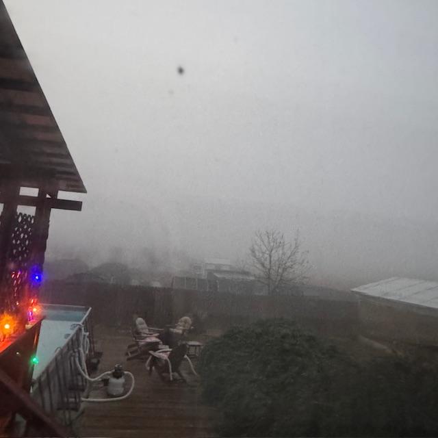 Out back with deep fog. You can't see anything past the fence.