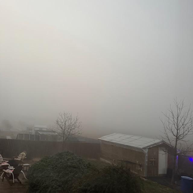 A view of our field next door...all fog.