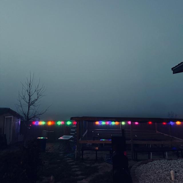 View of my backyard with lights that come on at night. Here it is foggy.